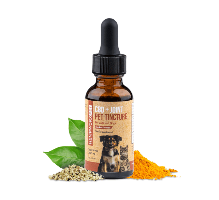 HempWorx CBD Oil for Dogs plus Joint